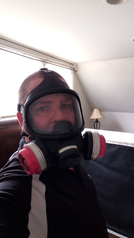 ProActive Pest Control