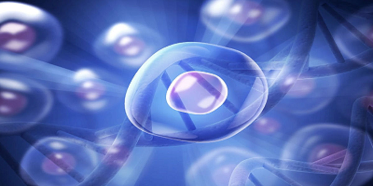 Stem Cells Costa Rica