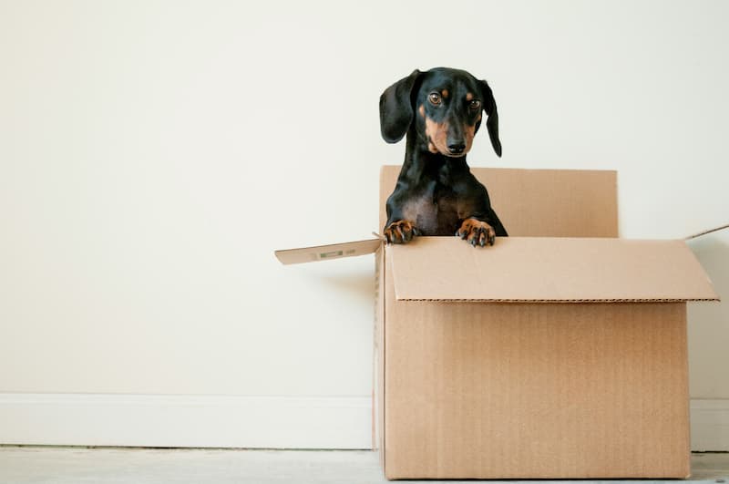 EaseMoving.org