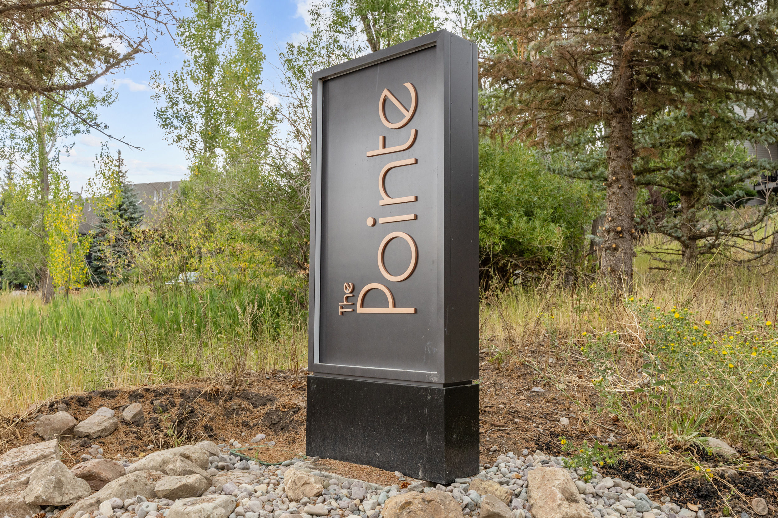 The Pointe at Wolf Creek