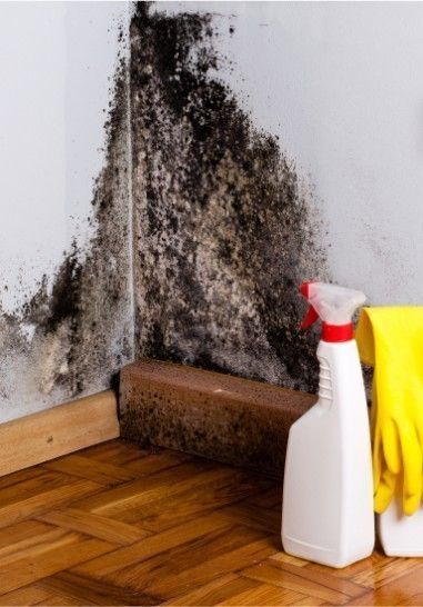 Arizona Restoration Contractors