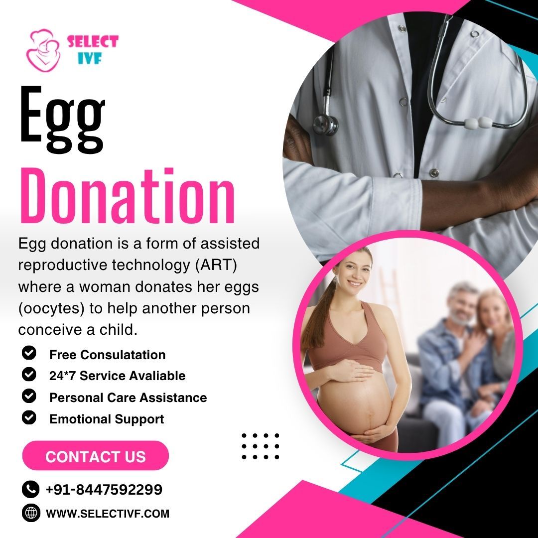 Egg Donation