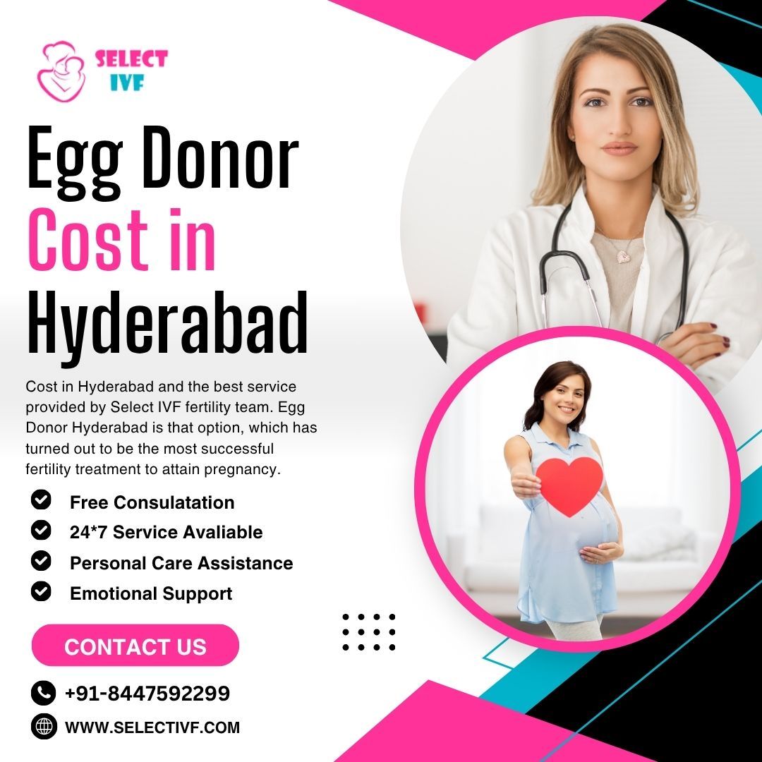 Cost of Egg Donor in Chennai