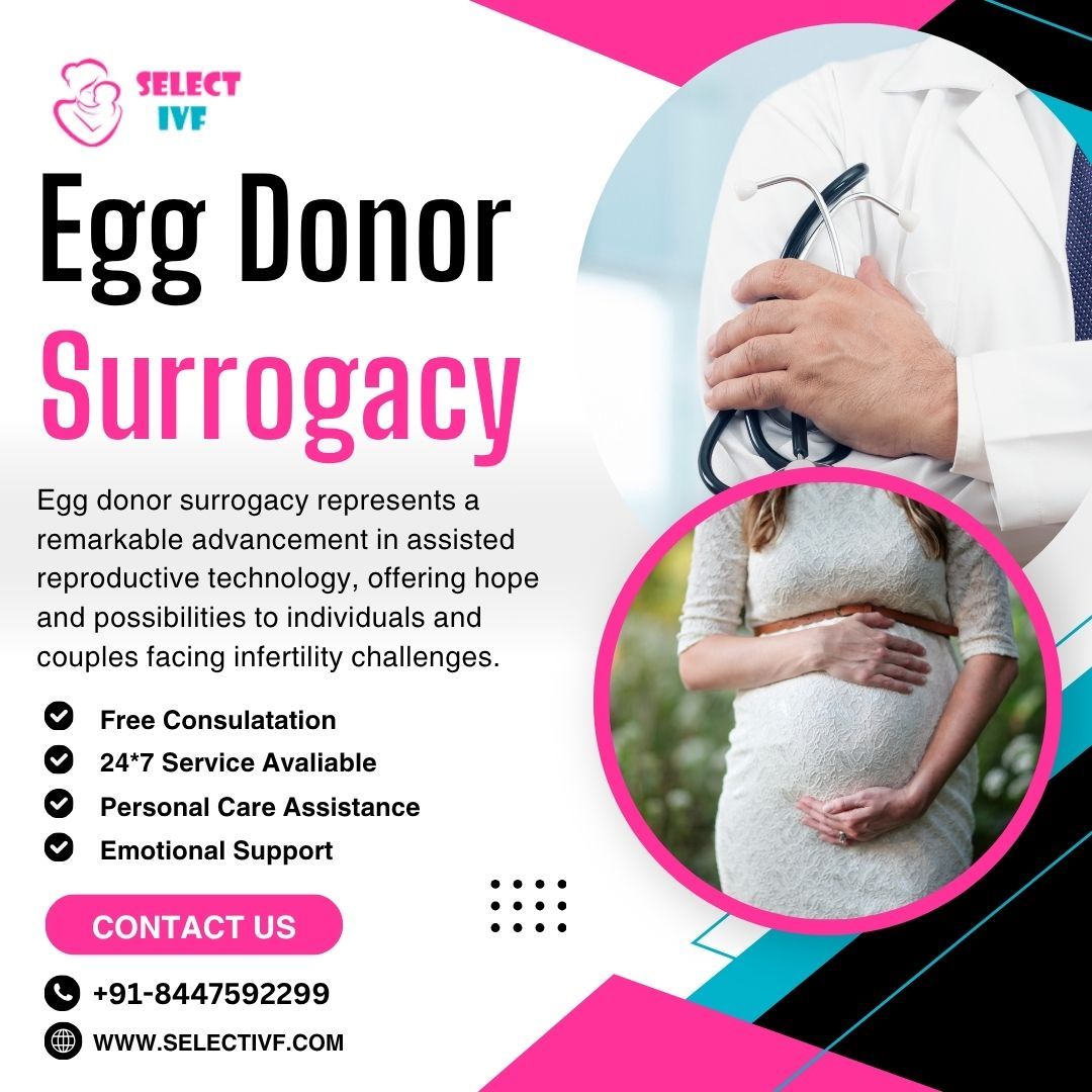 Egg Donor Surrogacy