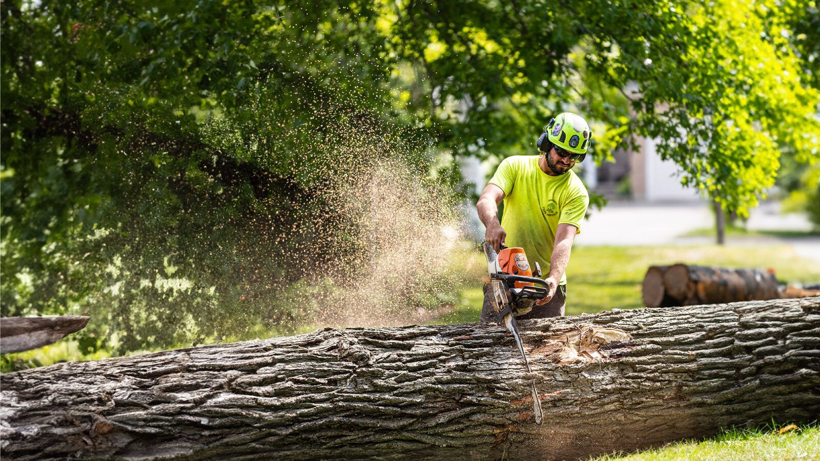 Asheboro Tree Service