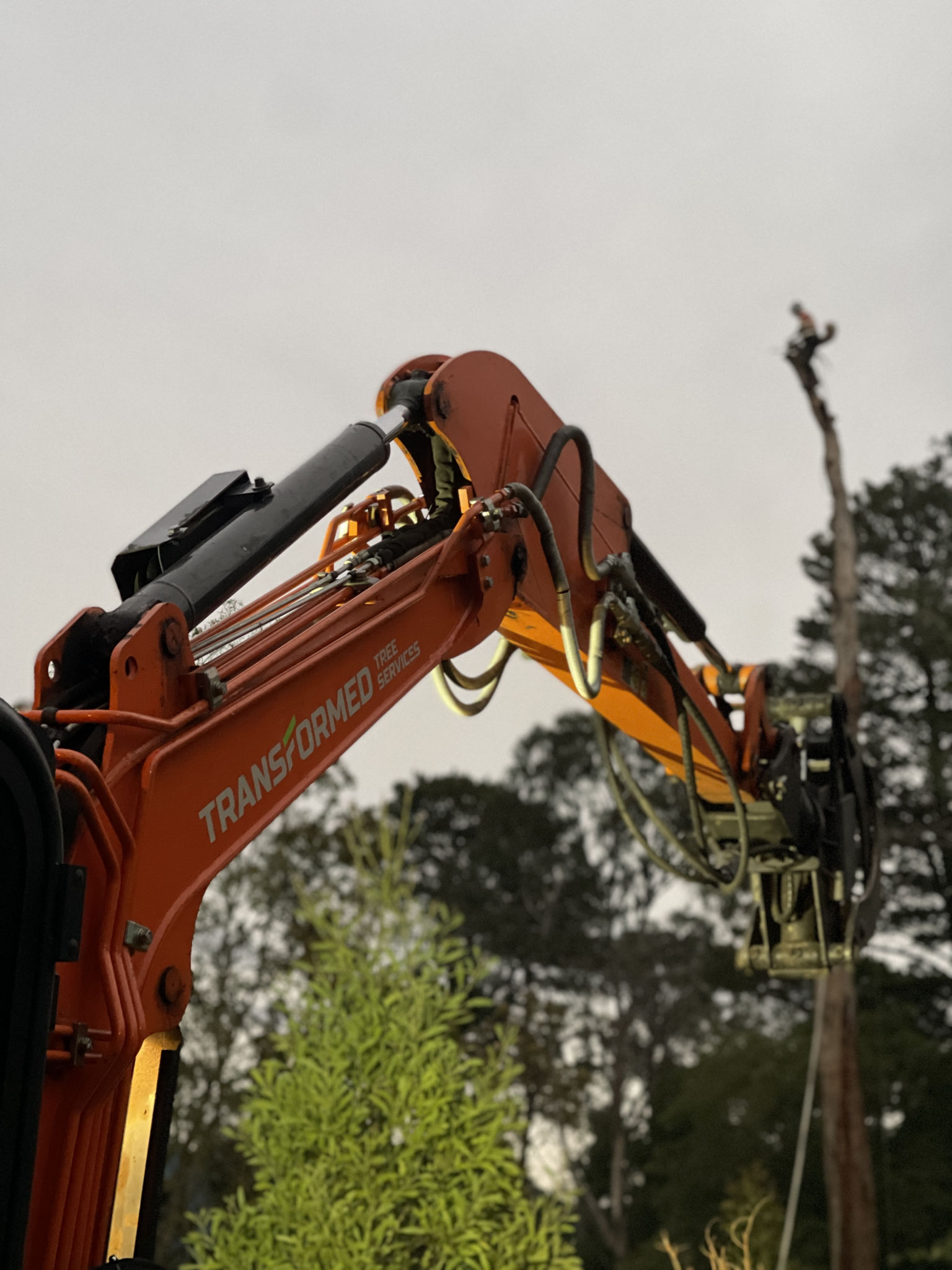 Transformed Tree Services