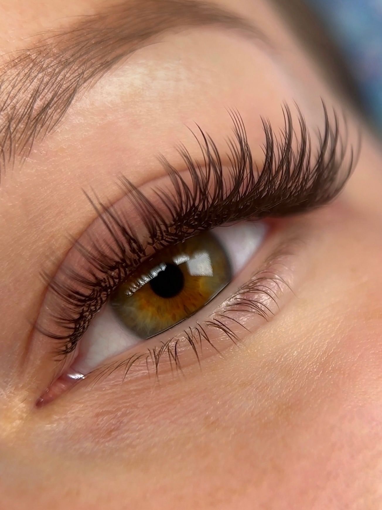 Belris Luxury Eyelash Extensions Los Angeles