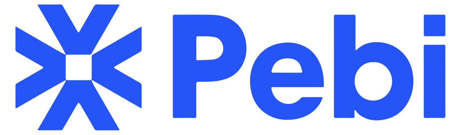 Pebitech: Custom Software Development Company