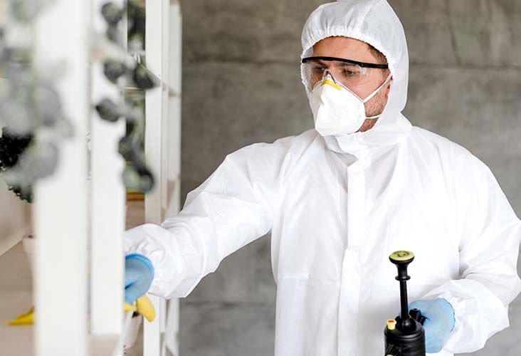 Supreme Mold Testing