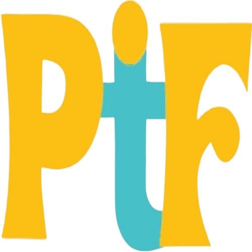Professional Web Design Services India | Punjab Tech Foundation