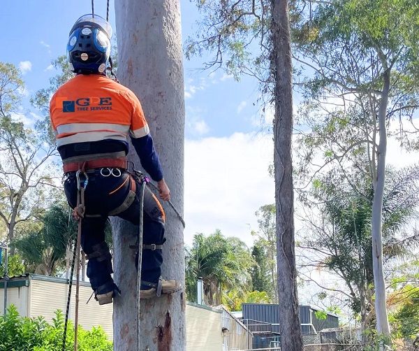 GDE Tree Services Sydney