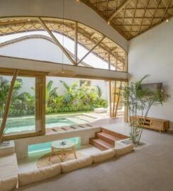 International Property Alerts