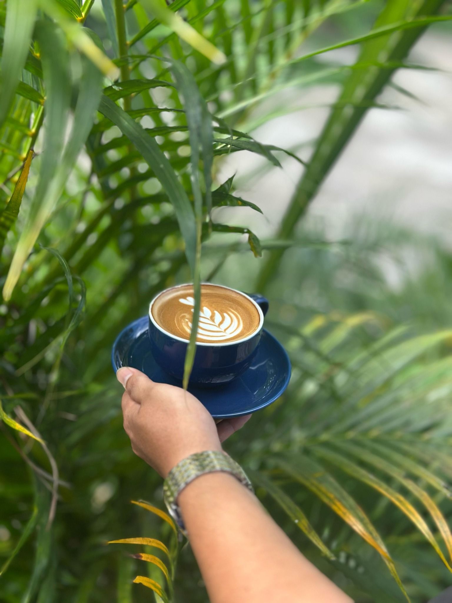 Firefly Specialty Coffee