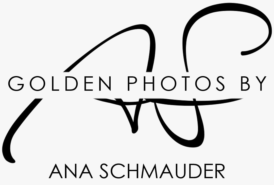 Tim Schmauder