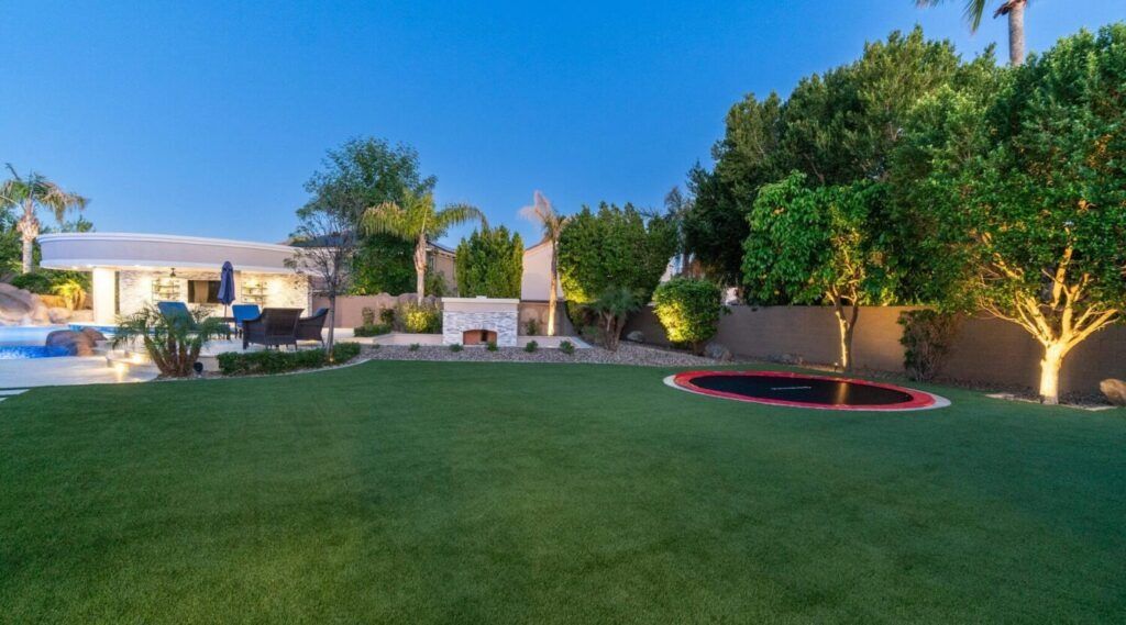Waterless Lawn & Turf