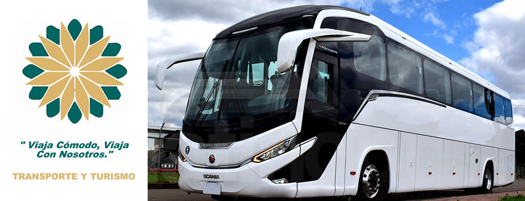 Alquiler buses de turismo