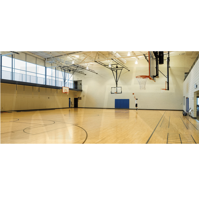 Next Level Basketball