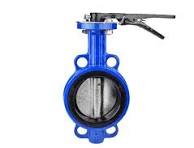 Alis Valves