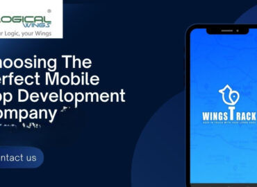 Logical Wings Software development company in USA