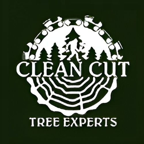 Clean Cut Tree Experts