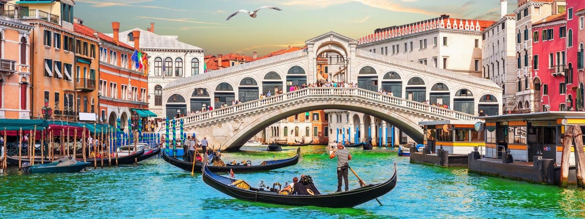 UniAdmits – Study Abroad Consultants