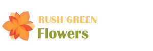 Flowers Rush Green