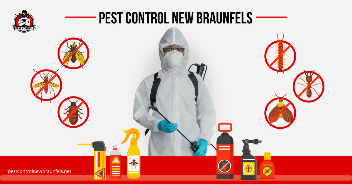 Pest Control in new Braunfels Tx