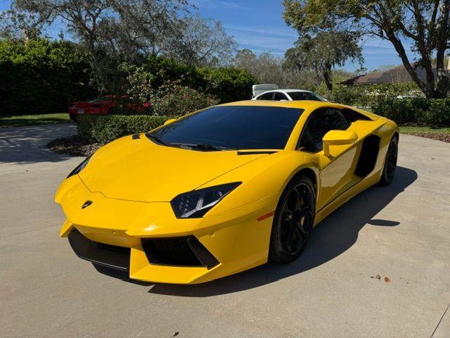 Xcel Tint