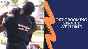 ThePetNest  – We are your your trusted & reliable all-i &hellip;