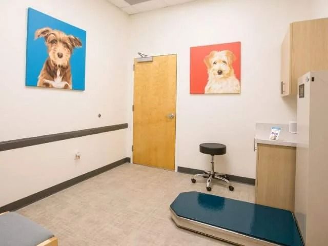 Urgent Vet