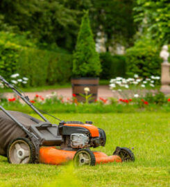 TTT handy man and lawn care