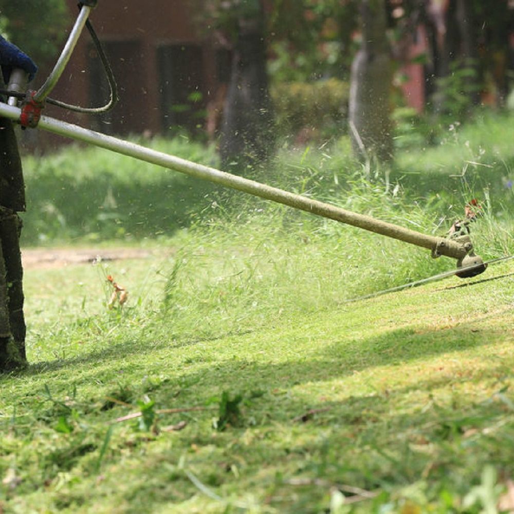 Yard Solutions Weed Control
