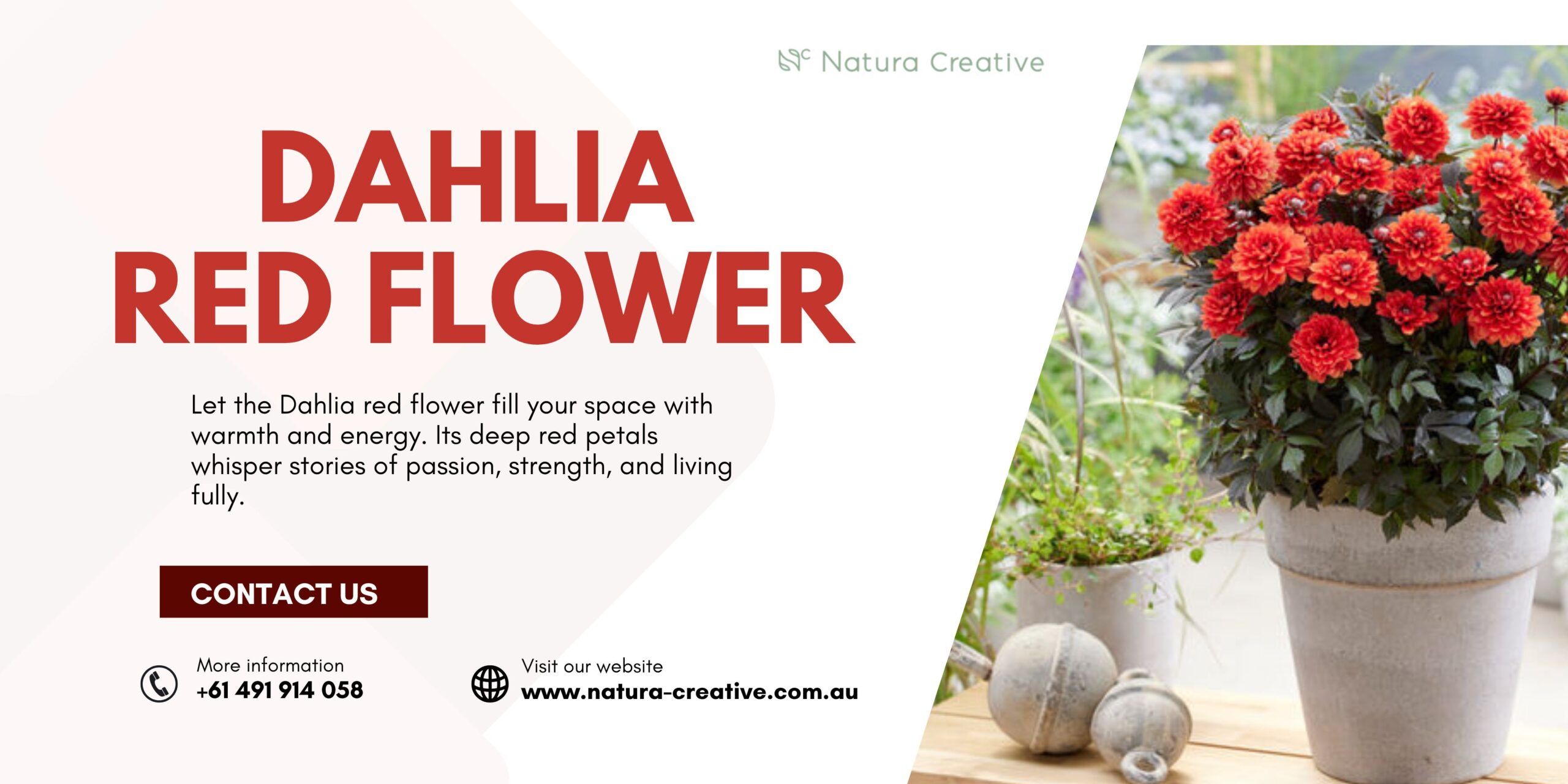 Natura Creative