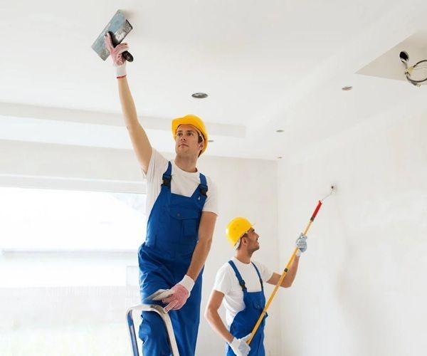 Wellington Decorators Limited | Registered Master Painters