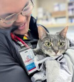 Urgent Vet