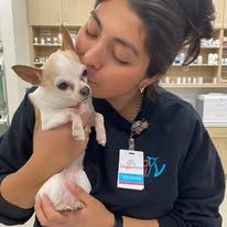 Urgent Vet