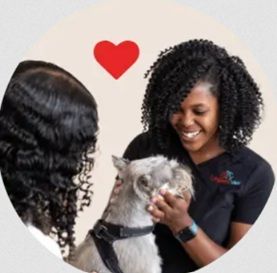 Urgent Vet