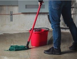 Top Tier Restoration Services