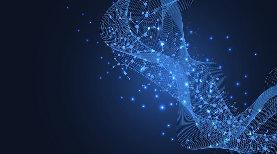 Nexus Healthcare