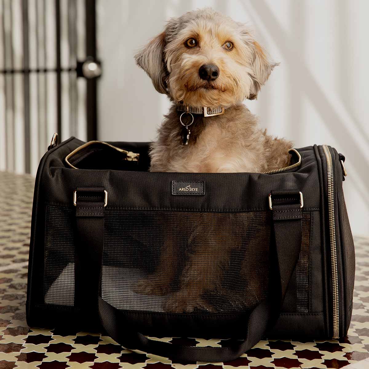sling for dogs