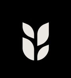 Grain Pte Ltd