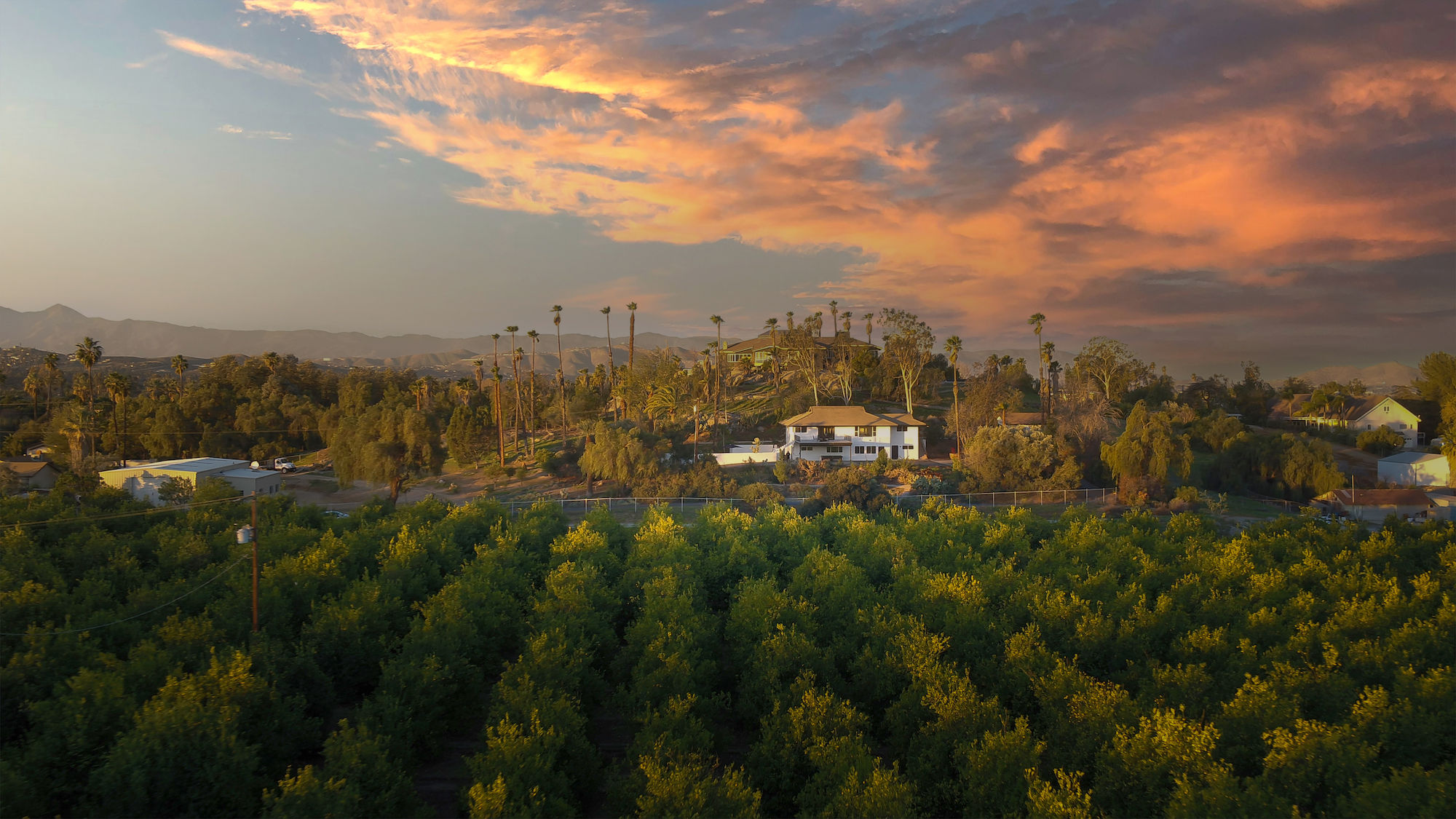 pH Wellness Alcohol and Drug Rehab Riverside California