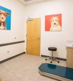 Urgent Vet