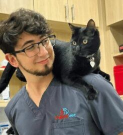 Urgent Vet
