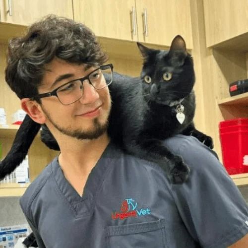 Urgent Vet