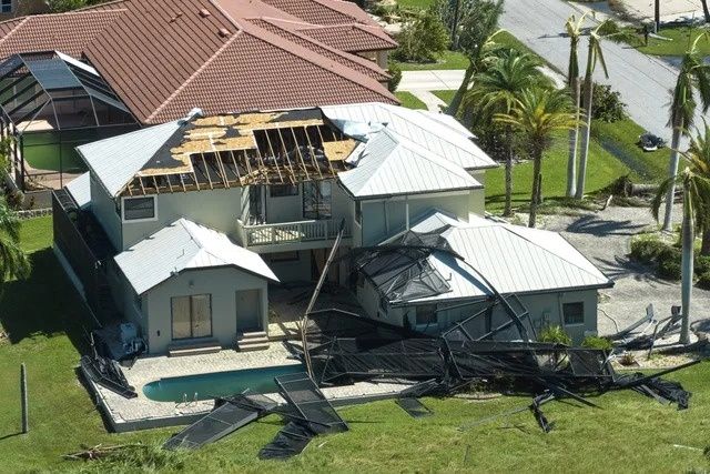 Lion Claims Adjusters