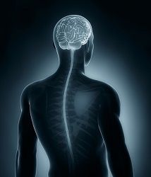 St Michael's Neurology