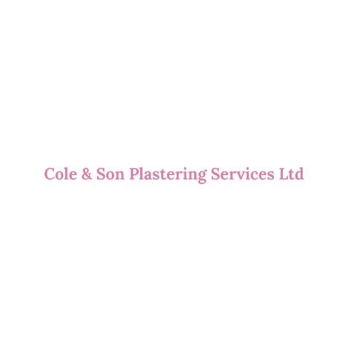 Cole and Son Plastering Services Ltd – Damp Proofing in Wes &hellip;