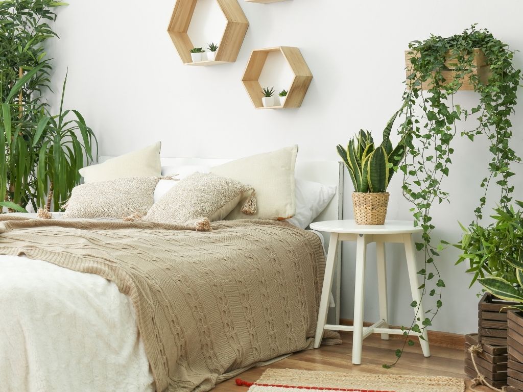 Clean Spaces SD