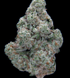 Atomic Herb